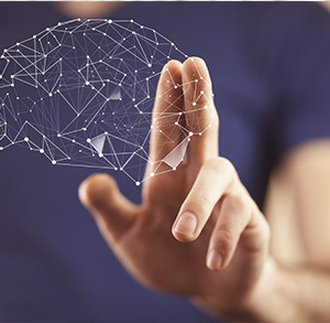 Die vernetzte Organisation