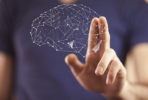 Die vernetzte Organisation