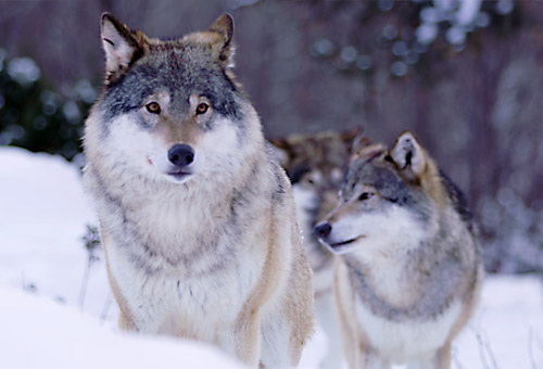 empiricus.eu im neuen Look: Recruiting und Leadership/Coaching – aus einer Hand